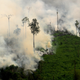 Clearing land in the Riau province.